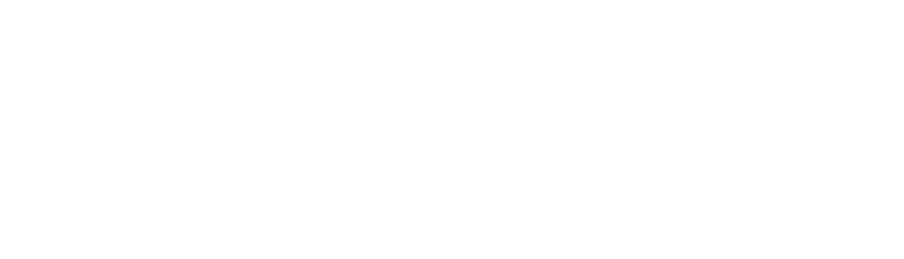 Linaya Ceylon Tours